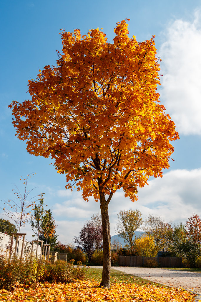 IMG-3681-exp.jpg