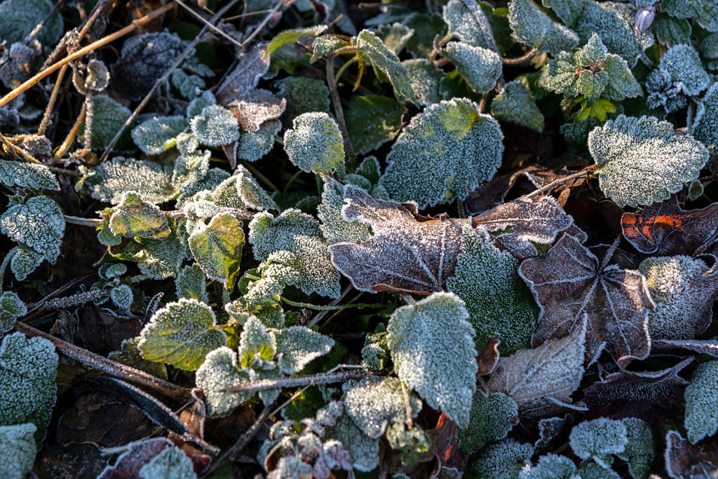 IMG-7844-exp.jpg