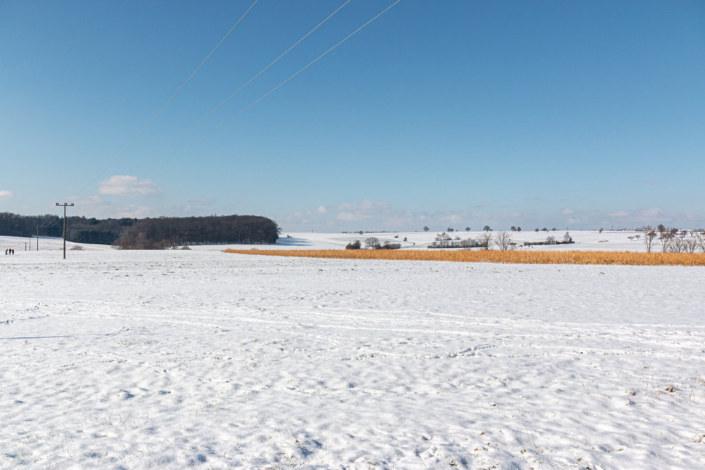 IMG-8442-exp.jpg