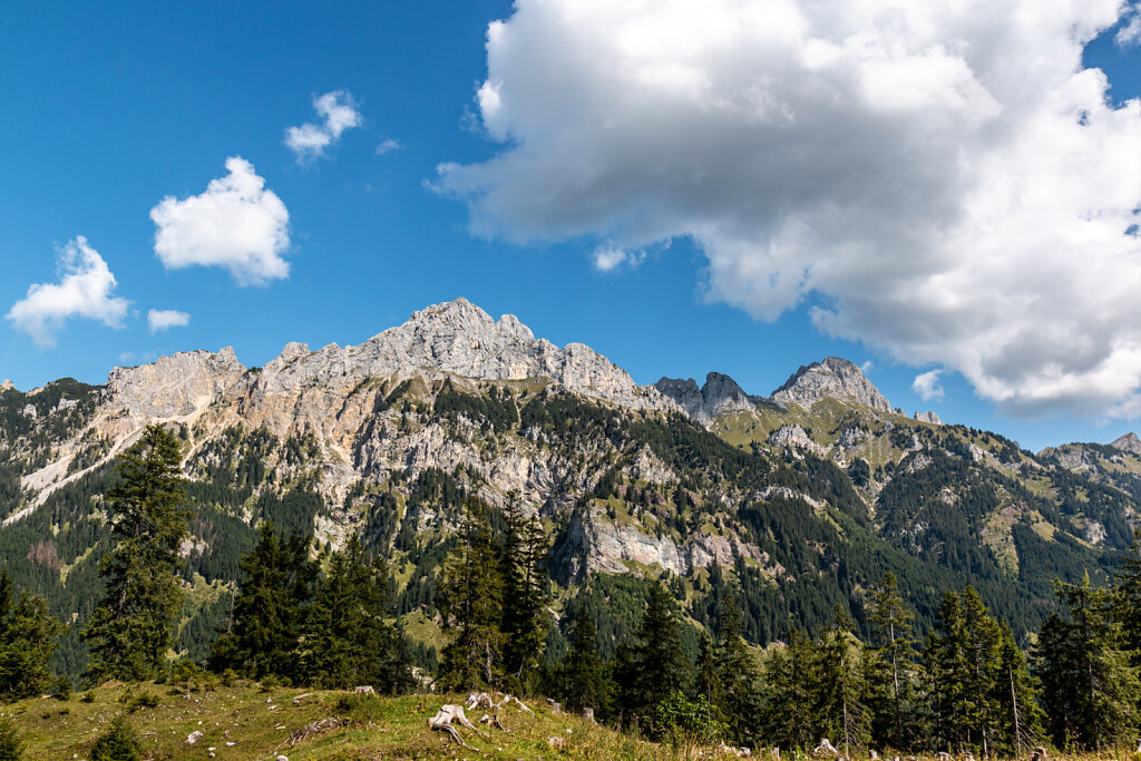 IMG-8868-exp.jpg